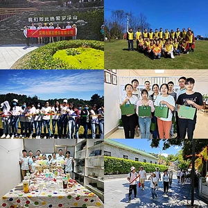 Collage del equipo